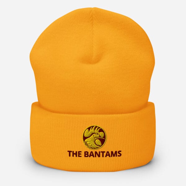 The Bantams Cuffed Beanie - Image 4