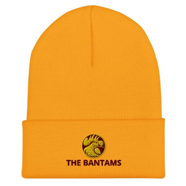 The Bantams Cuffed Beanie - Image 6