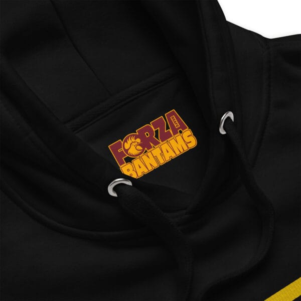 Bradford Mythbreakers Embroidered Unisex Hoodie - Image 4